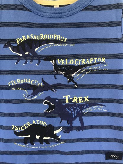 Joules Tshirt - Image 2