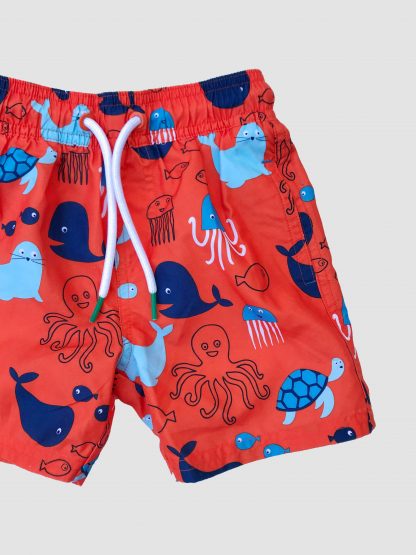 Boys Sea Creature Swim Short - Image 3