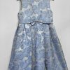 Rachel Riley Blue Rose Dress